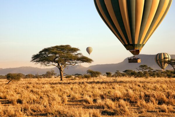 Short Tanzania Safaris