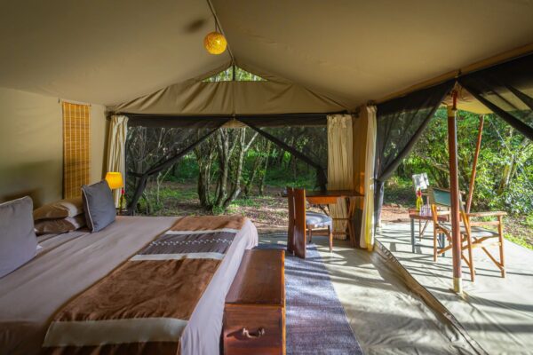 14-Day African Safari