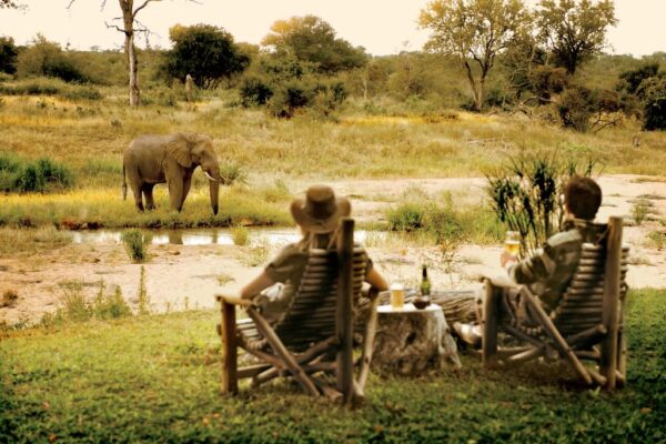 Couples Safari