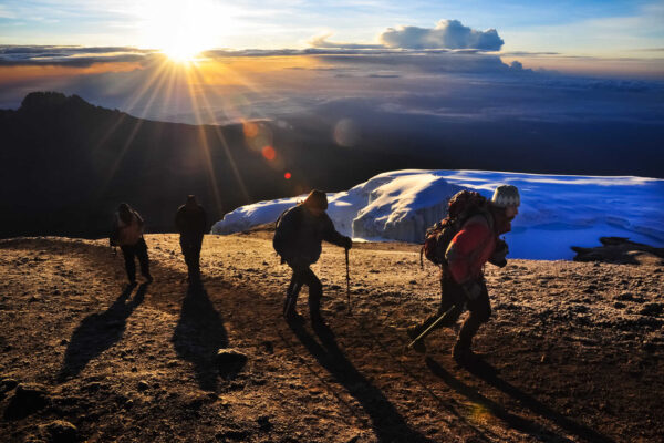Gorilla Trekking and Kilimanjaro Gorilla Trekking and Kilimanjaro