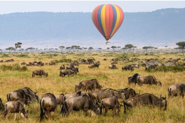 Luxury Kenya and Tanzania Bespoke Safari