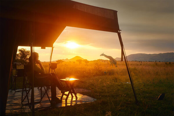 Serengeti Honeymoon