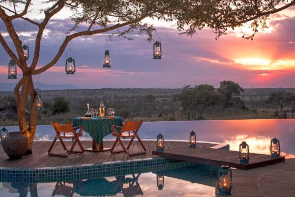 Serengeti Honeymoon