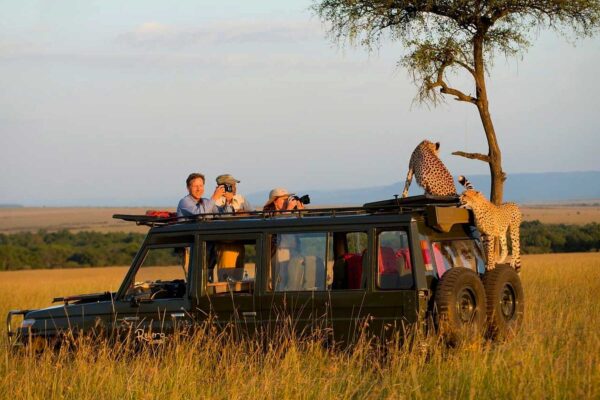 Serengeti Honeymoon