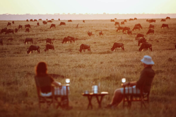 Serengeti Honeymoon