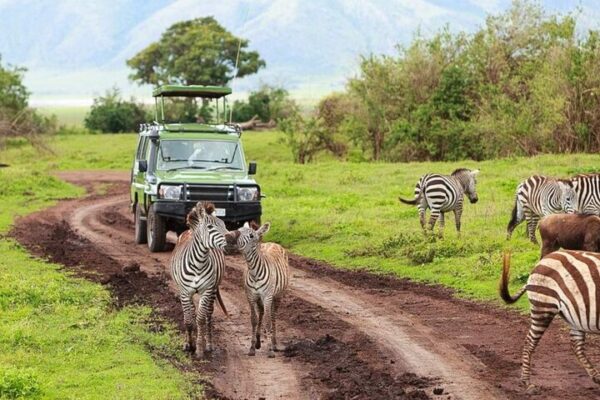 3-Day Serengeti Safari