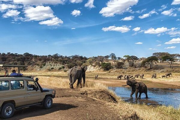 3-Day Serengeti Safari