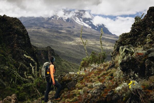 6-Day Marangu Route Kilimanjaro Climb 6-Day Marangu Route Kilimanjaro Climb