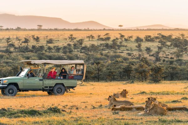 Game Drives in Africa