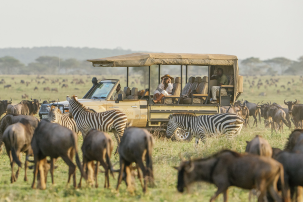 Game Drives in Africa