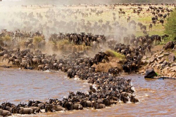 Kenya Safari Holidays