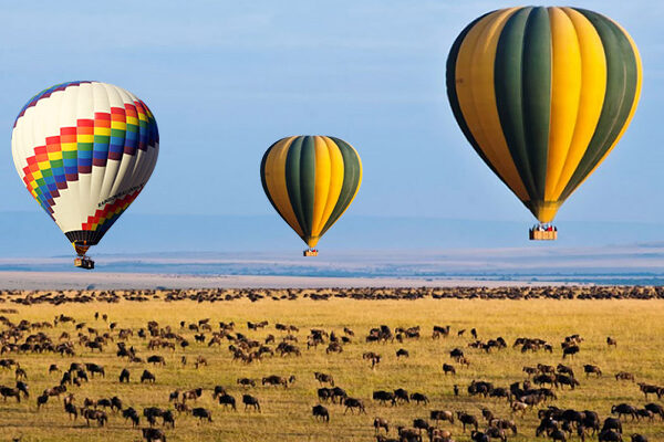 Kenya Safari Holidays