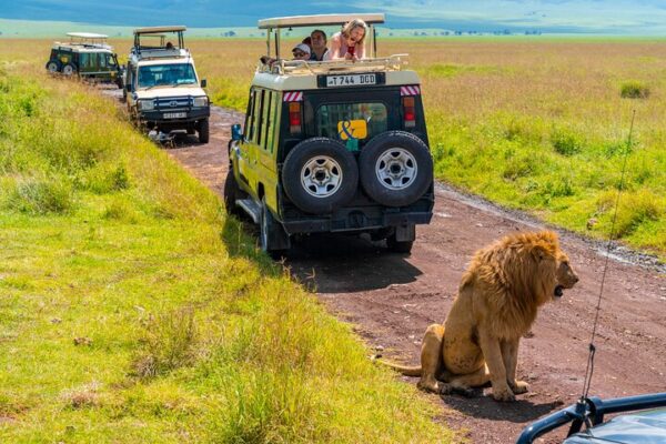 Lake Manyara vs Ngorongoro Lake Manyara vs Ngorongoro