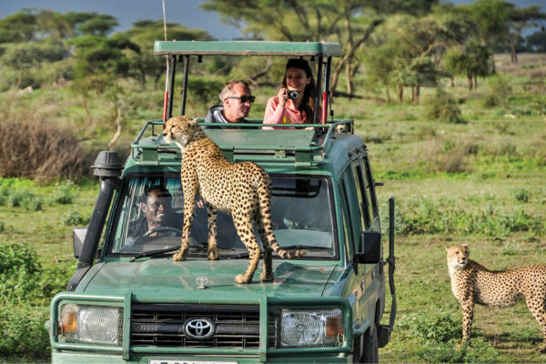 Safari and Beach Holiday Safari and Beach Holiday