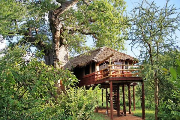 Safari in East Africa Best Safari in East Africa