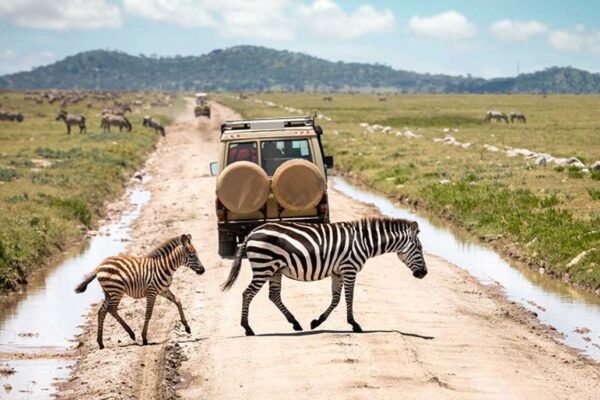 Self Drive Safari Self Drive Safari