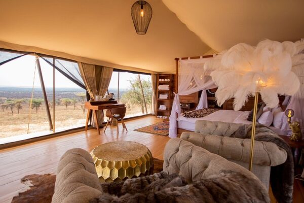 Solo Travel Safari Solo Travel Safari