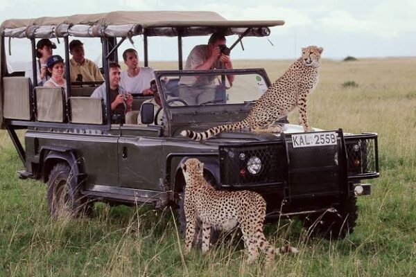 10-Day Kenya and Tanzania Big Five Safari 10-Day Kenya and Tanzania Big Five Safari