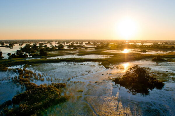 6-Day Luxury Botswana Safari 6-Day Luxury Botswana Safari