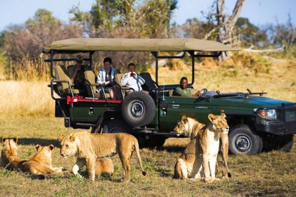 6-Day Luxury Botswana Safari 6-Day Luxury Botswana Safari