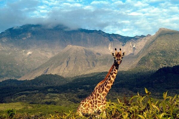 Arusha NP and Mount Meru