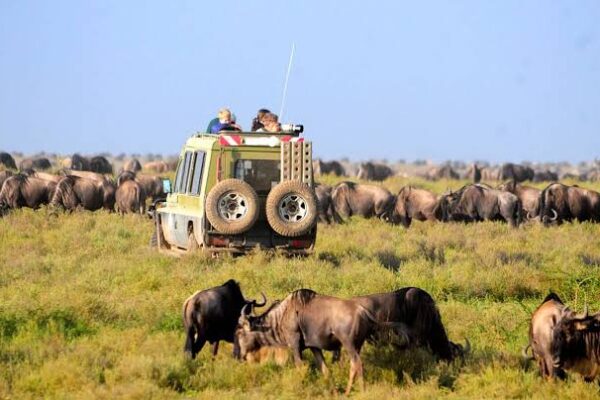 Serengeti Safari Itinerary