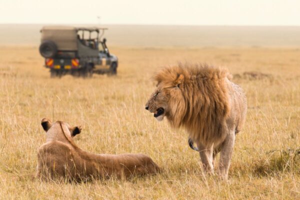 10-Day Ultimate Kenya Big 5 Safari 10-Day Ultimate Kenya Big 5 Safari