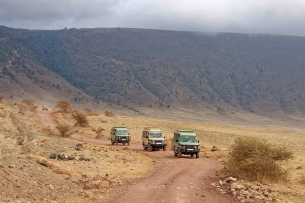 3-Day Serengeti and Ngorongoro Budget Safari