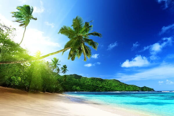 4-Day Seychelles Tour 4-Day Seychelles Tour