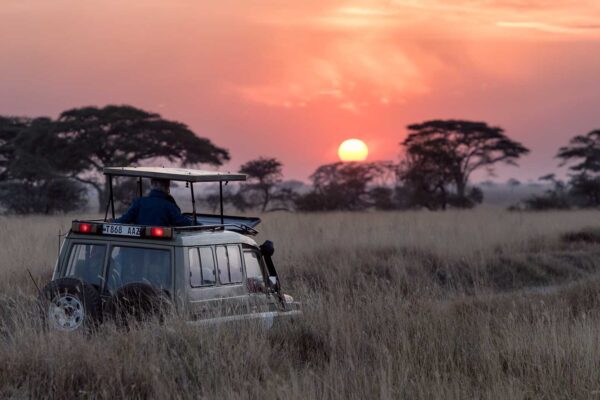 5-Day Budget Tanzania Safari Package