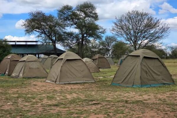 7-Day Tanzania Budget Safari 7-Day Tanzania Budget Safari