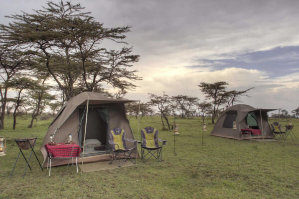 Budget Tanzania Safaris