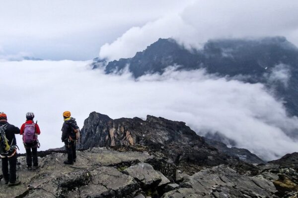 Group Rwenzori Treks
