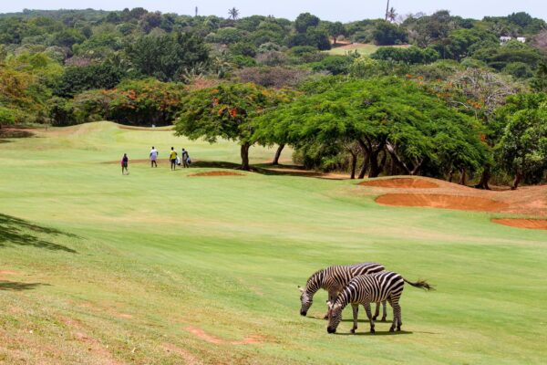 Kenya Golf Safari Kenya Golf Safari