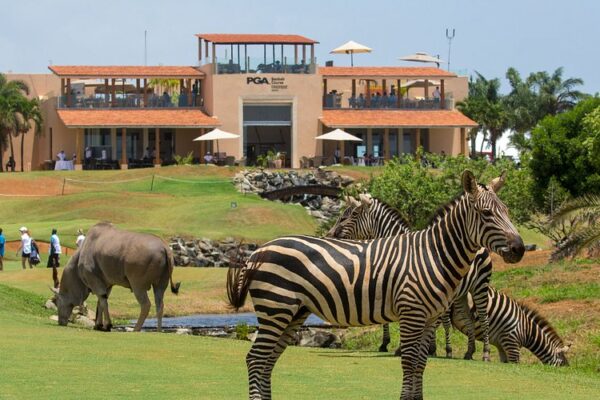 Kenya Golf Safari Kenya Golf Safari