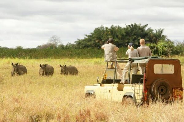 Kenya Golf Safari Kenya Golf Safari