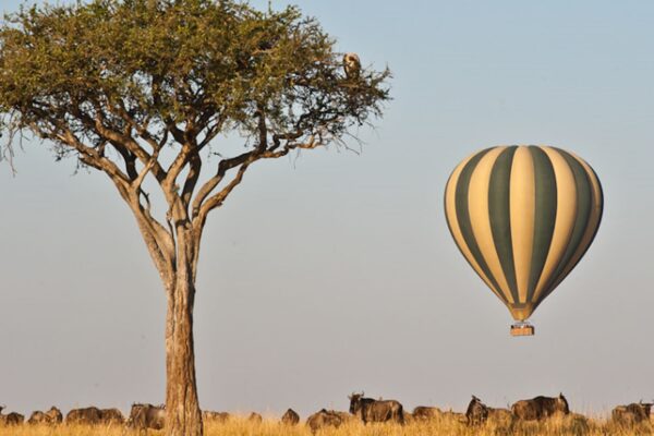 Luxury Balloon and Big Five Safari