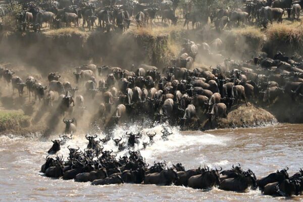 Luxury East Africa Safaris Luxury East Africa Safaris
