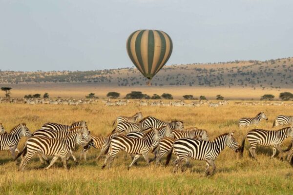 Luxury Safari With Hot Air Balloon