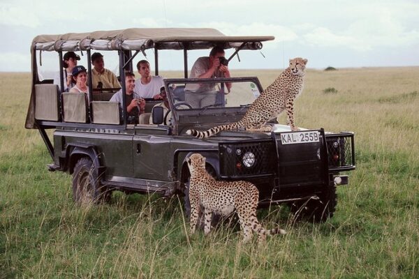Masai Mara and Lake Nakuru Big 5 Safari Masai Mara and Lake Nakuru Big 5 Safari