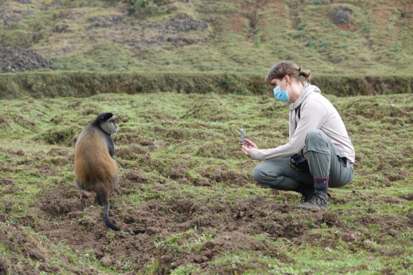 Rwanda Gorilla and Golden Monkey Rwanda Gorilla and Golden Monkey