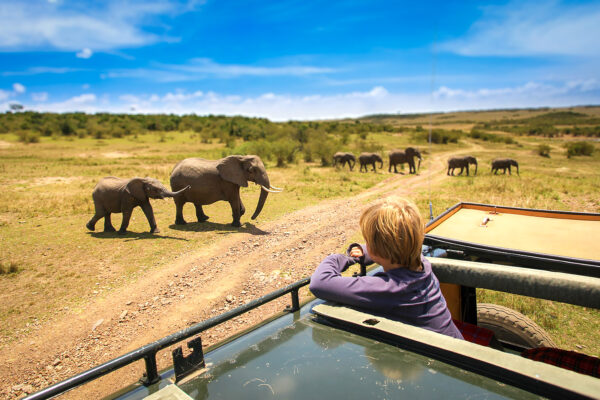 Safest Countries In Africa Safest Countries In Africa