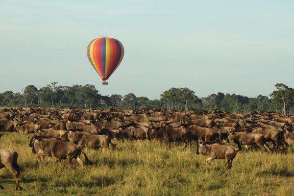 Serengeti Entrance Fees Serengeti Entrance Fees