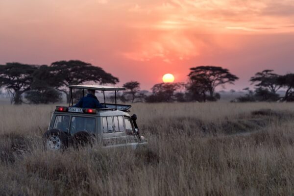 Serengeti Masai Mara Safari
