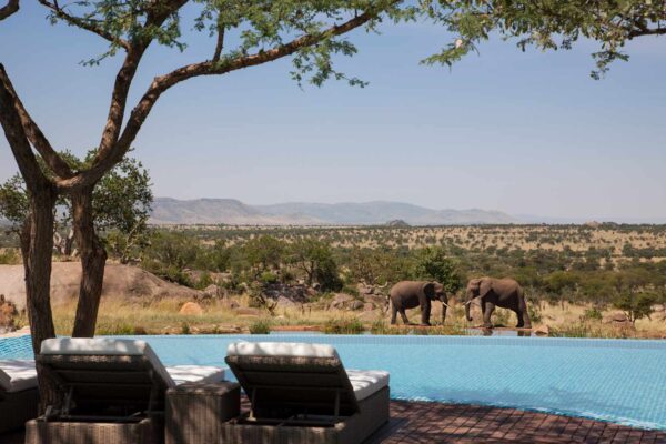 Serengeti vs Masai Mara