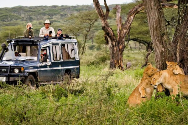 Serengeti vs Masai Mara