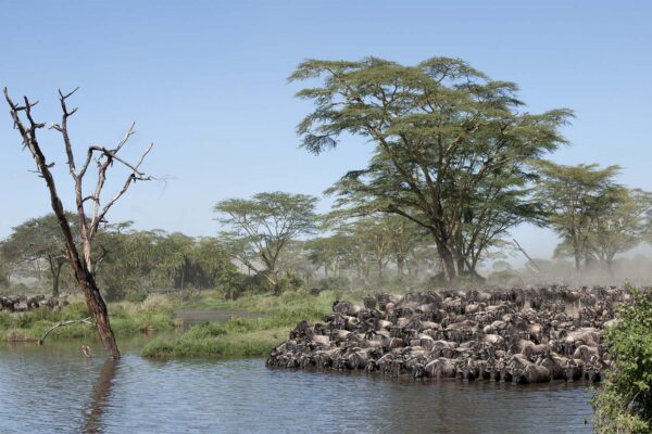 Tanzania Vacations Tanzania Vacations