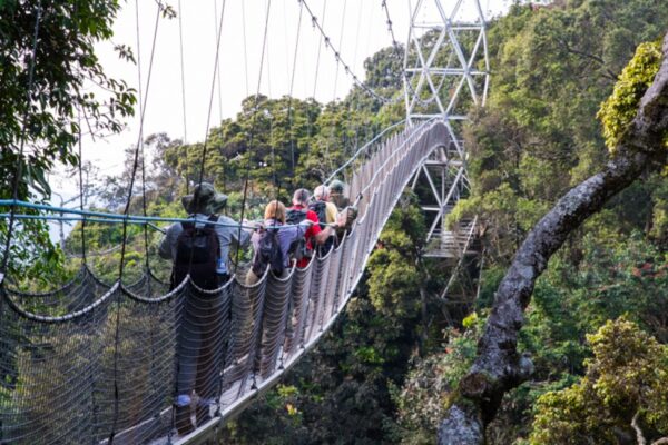 Rwanda Christmas Safari