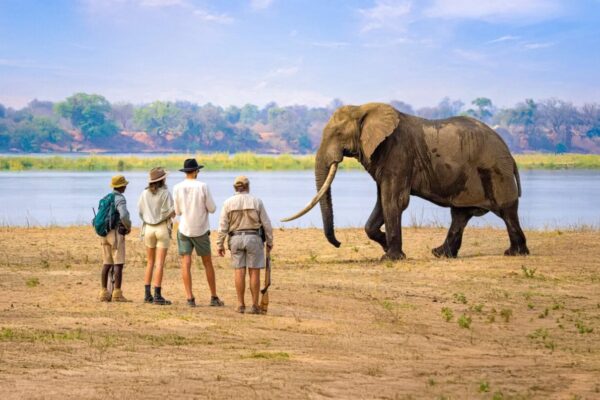 7-Day Luxury Zambia Safari