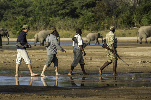 7-Day Luxury Zambia Safari